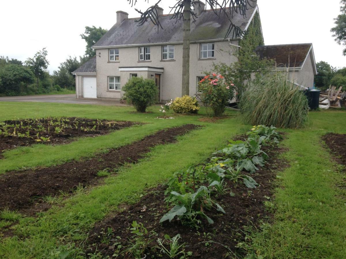 Lisieux House On Lough Neagh Bed & Breakfast Aghalee Exterior foto